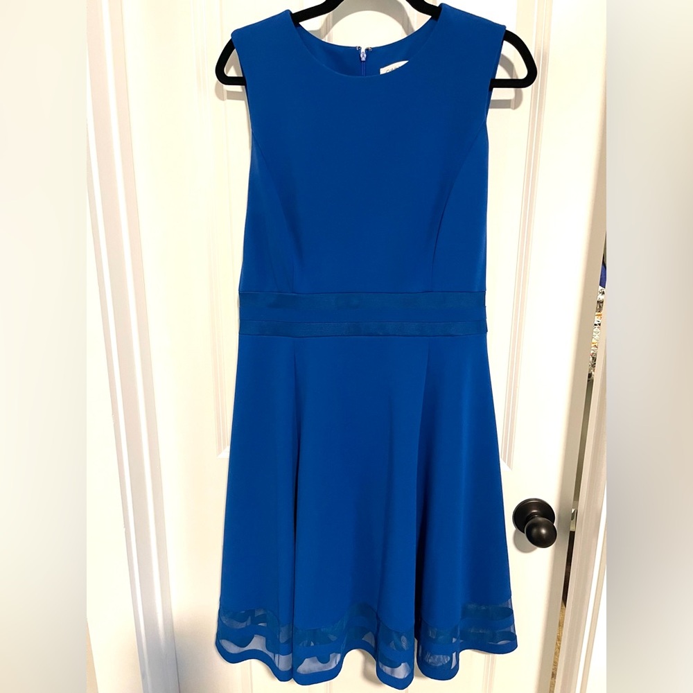 Calvin Klein 12 Royal blue